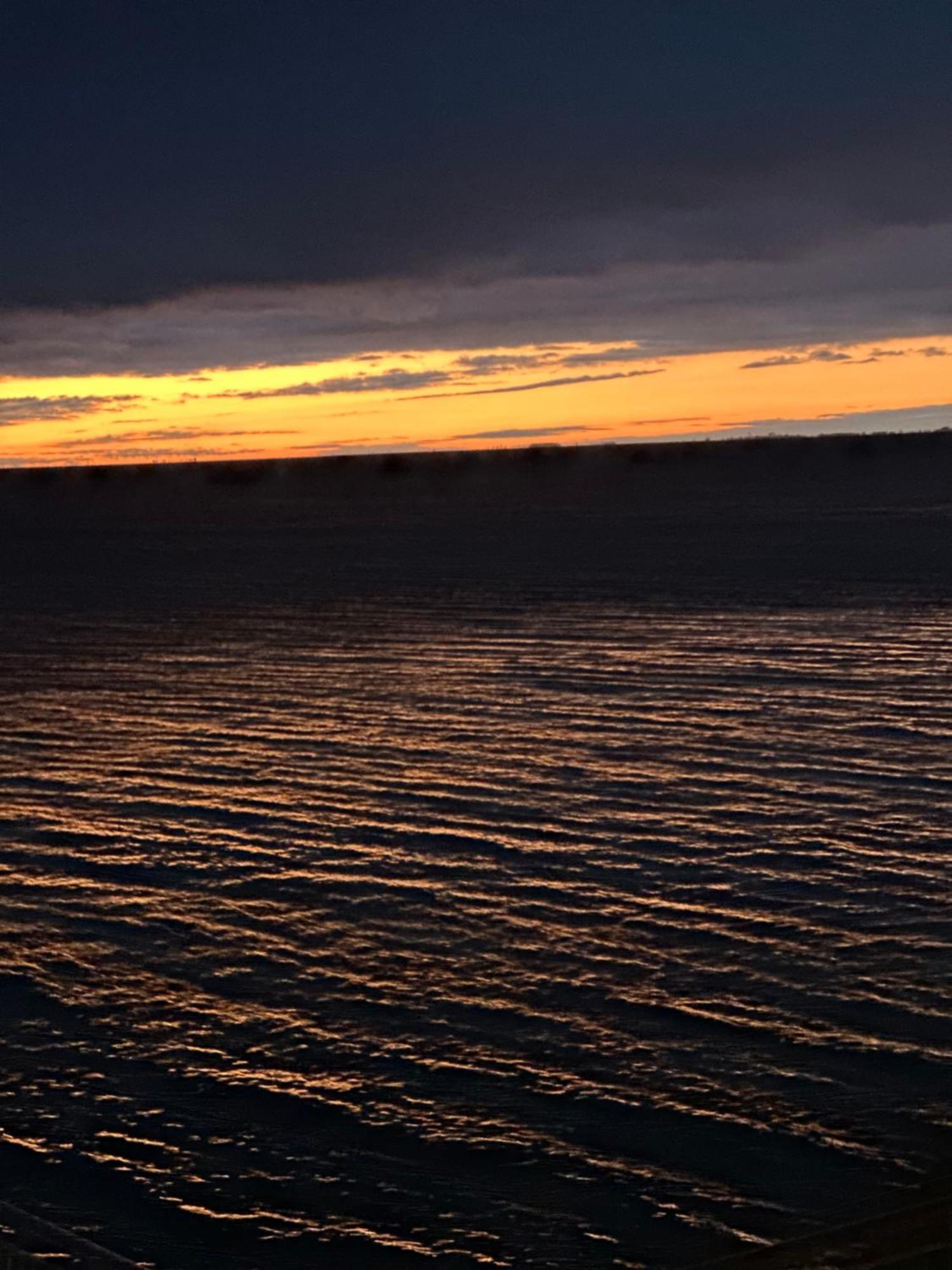 Le Rive Del Revoltella Apartment Trieste Bagian luar foto